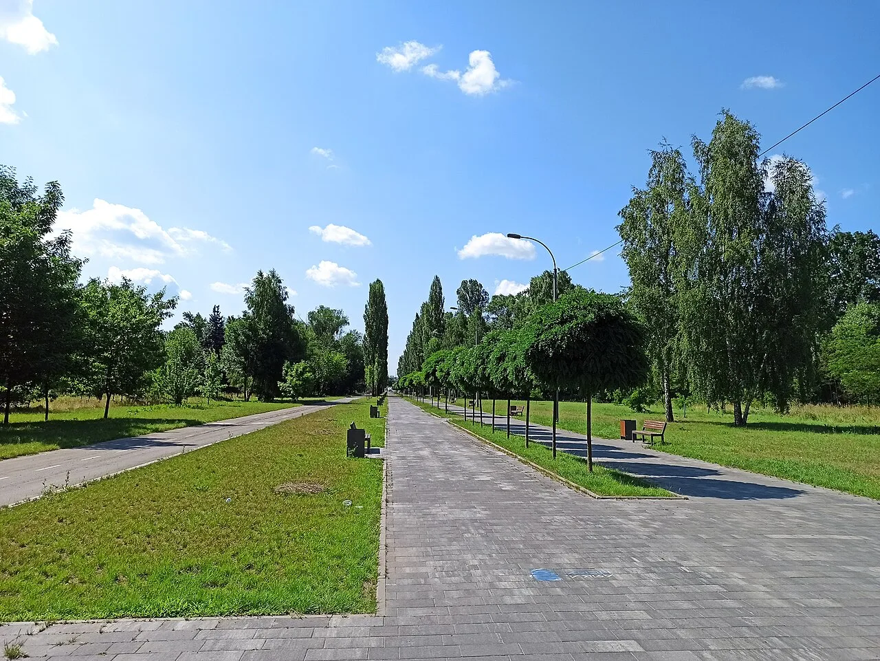 Центральна алея парку «Муромець» серед дерев і газонів Центральна алея парку «Муромець» серед дерев і газонів