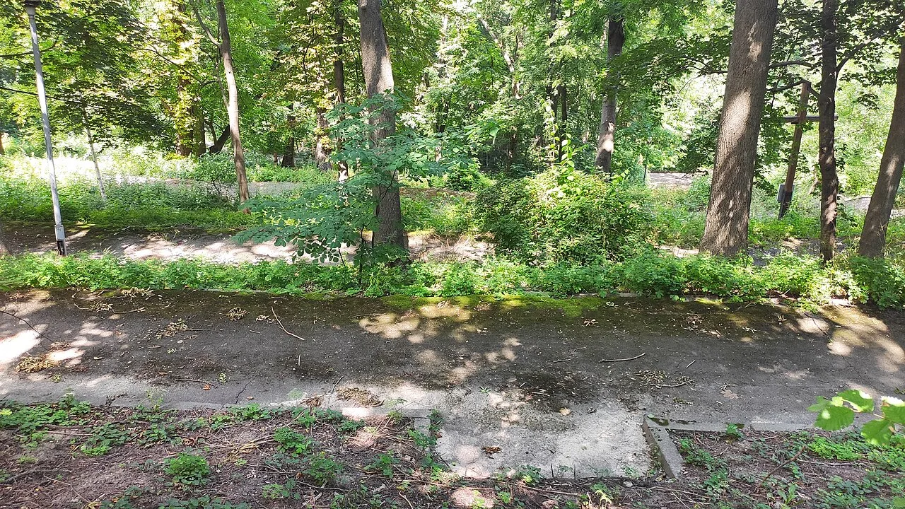Дерева й затінена стежка в парку на Парковій дорозі, Аскольдова Могила, Київ