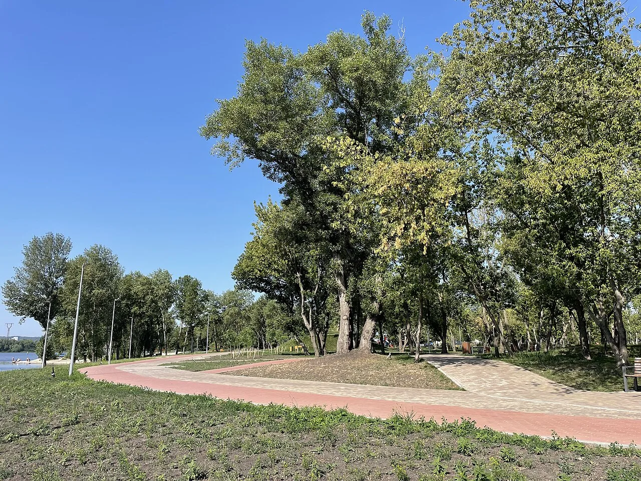 Дерева й доріжки в парку «Прибережний» Дерева й доріжки в парку «Прибережний»