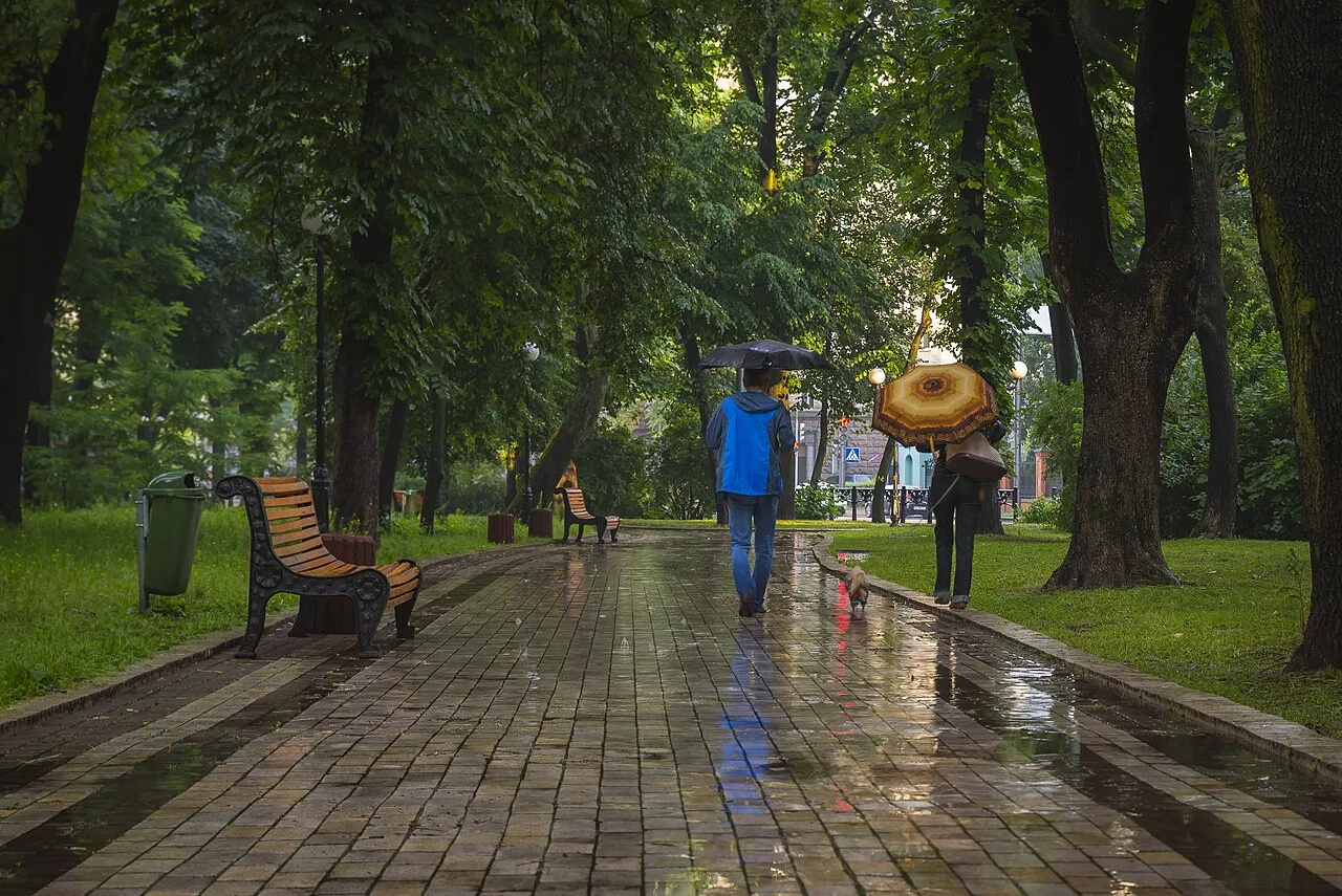 Доріжка Маріїнського парку після дощу, люди йдуть під парасолями