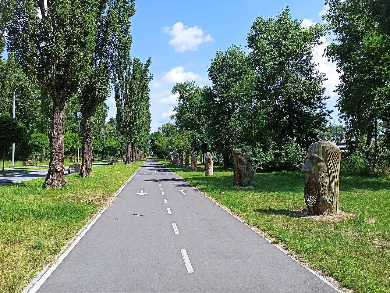 Велодоріжка на центральній алеї парку «Муромець» Велодоріжка на центральній алеї парку «Муромець»