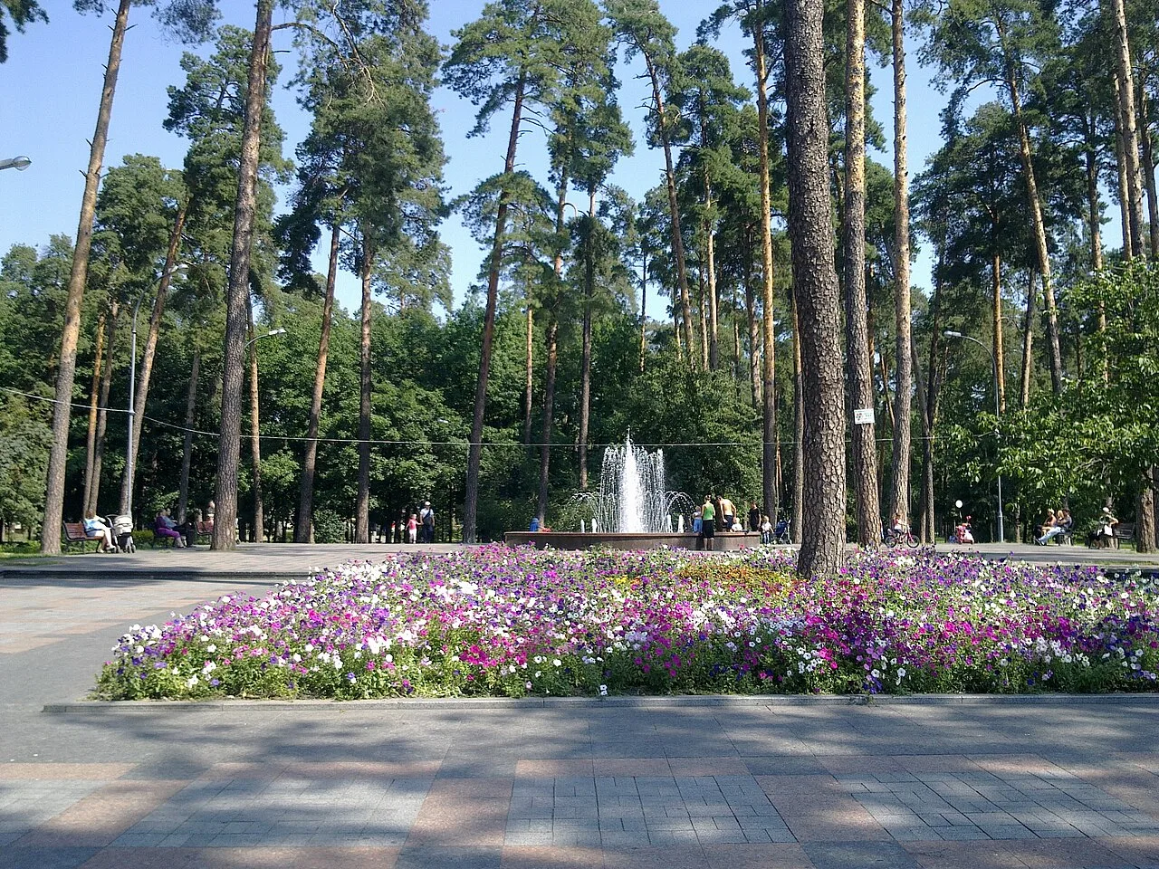 Фонтан серед квітника й високих сосен у парку Партизанської слави в Києві Фонтан серед квітника й високих сосен у парку Партизанської слави в Києві